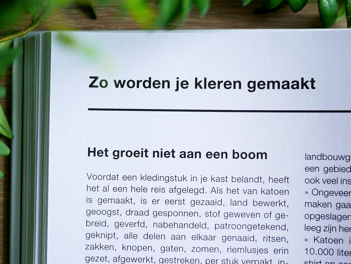 Dit is een goede gids • Cynthia