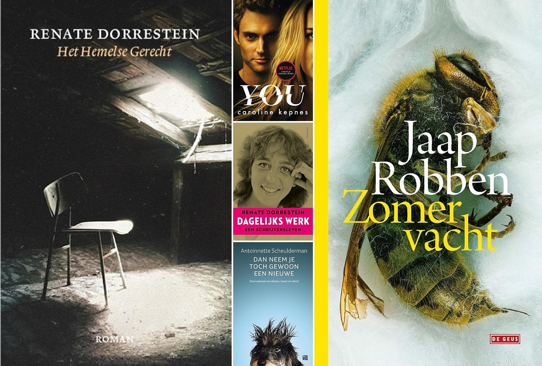 Boeken van januari 2019 deel 1 • Cynthia